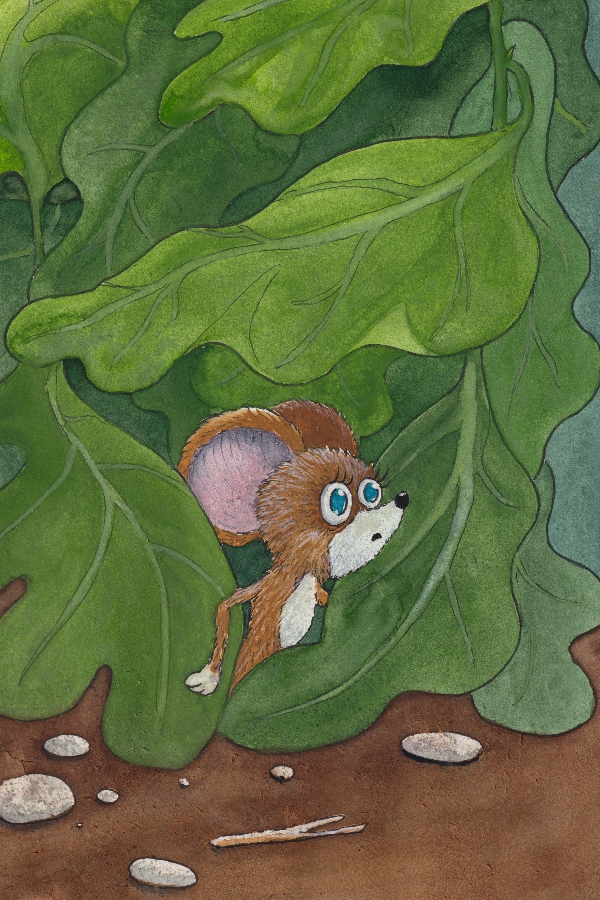 illustrations illustrations