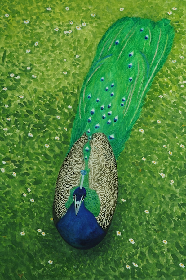 « peintures" peintures